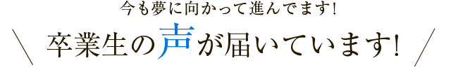 卒業生の声が届いています！