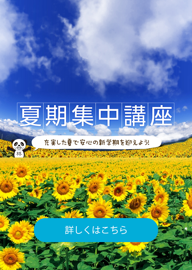 夏期集中講座